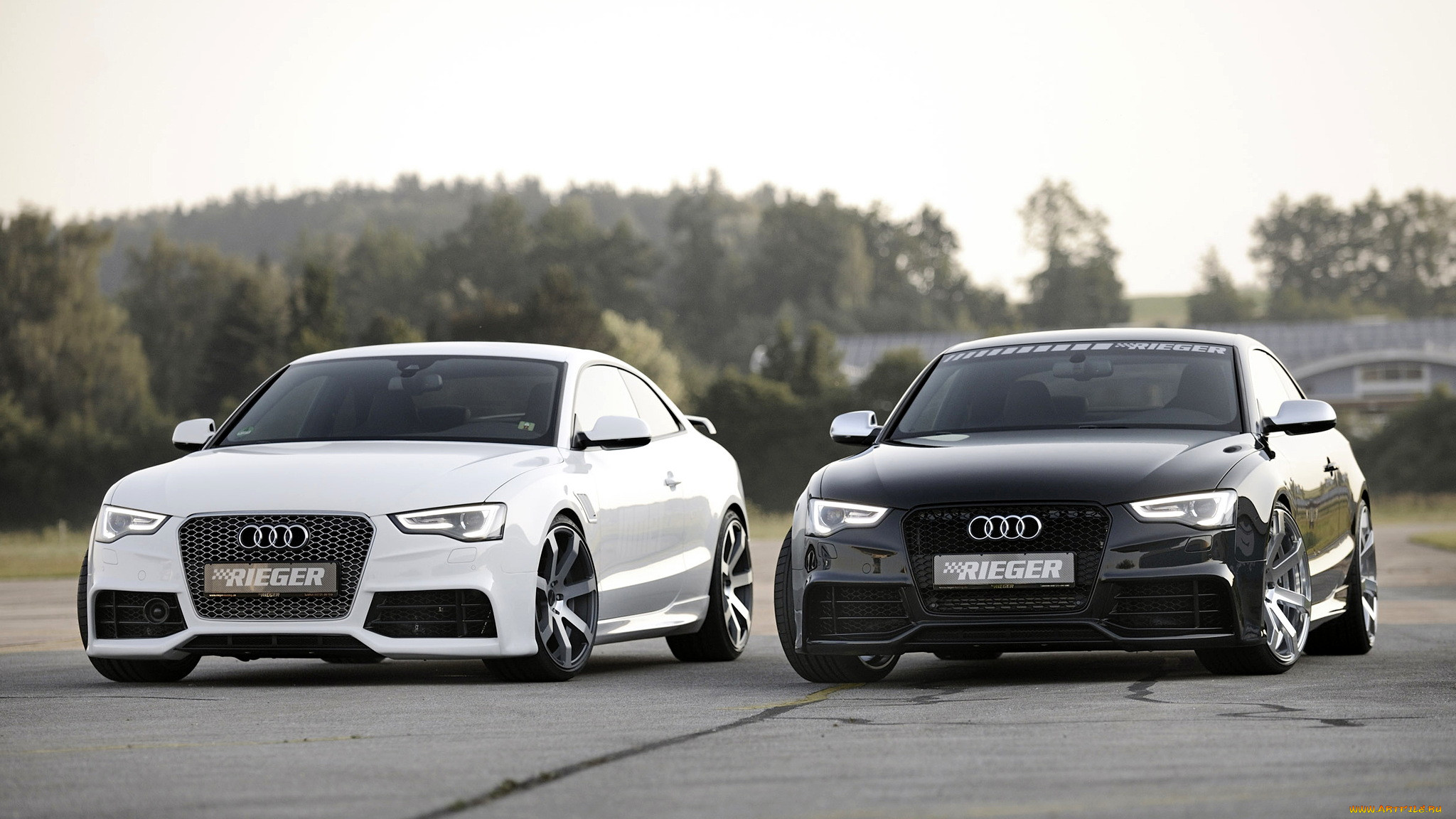 audi, a5, , volkswagen, group, 